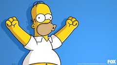 The Simpsons Homer Simpson