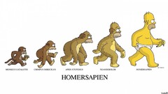 The Simpsons Homer Simpson humor Evolution yellow bananas