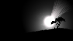 The text night nowords