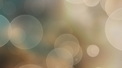 The that some ones rating newer brownbubbles