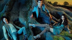 The Vampire Diaries TV shows Ian Somerhalder Nina Dobrev Paul 