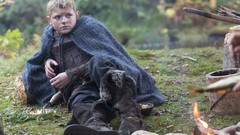 The Vikings Vikings TV series