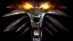 The witcher 2 assassins