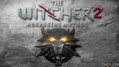 The witcher 2 assassins