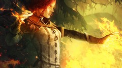 The witcher 2 assassins of kings