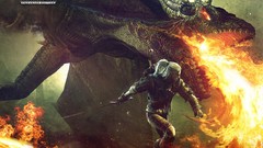 The witcher 2 assassins of kings