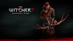 The witcher 2 assassins of kings