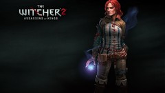 The witcher 2 assassins of kings