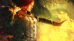 The witcher 2 assassins of kings