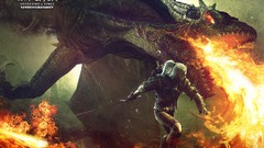 The witcher 2 assassins of kings