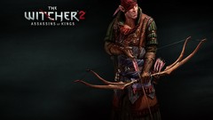 The witcher 2 assassins of kings