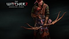 The witcher 2 assassins of kings