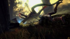 The witcher 2 assassins of kings video games