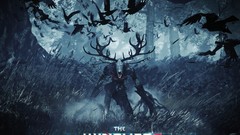 The witcher 3 wild hunt
