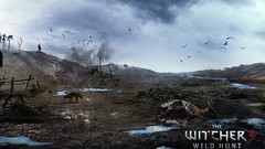 The witcher 3 wild hunt