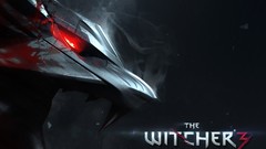 The witcher 3 wild hunt video games witcher