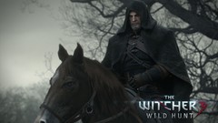 The witcher 3 wild hunt video games witcher cgi