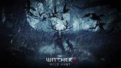 The witcher 3 wild hunt witcher