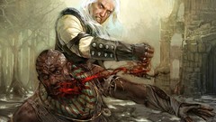 The witcher