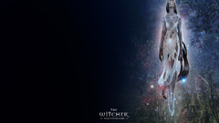 The witcher Games widescreen