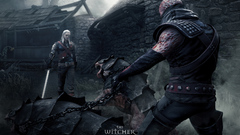 The witcher Games widescreen
