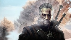 The witcher the witcher 2 assassins of kings