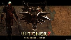 The witcher the witcher 2 assassins of kings artwork