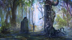 The witcher the witcher 2 assassins of kings artwork fantasy art