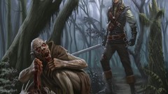 The witcher the witcher 2 assassins of kings artwork video 