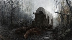 The witcher the witcher 2 assassins of kings artwork video 