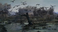 The witcher the witcher 2 assassins of kings artwork video 