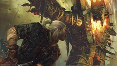 The witcher the witcher 2 assassins of kings assassins of kings