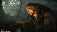 The witcher the witcher 2 assassins of kings geralt of rivia