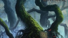 The witcher the witcher 2 assassins of kings video games