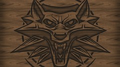 The witcher the witcher 2 assassins of kings video games