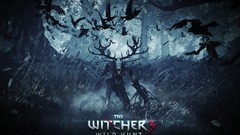 The witcher the witcher 3 wild hunt video games witcher