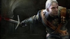 The witcher video games