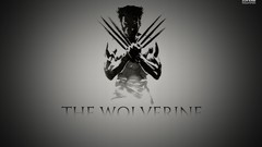 The wolverine