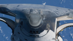 There are More bored