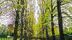 There mins hdr toning