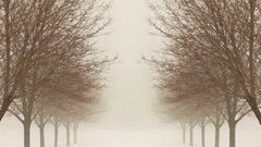 There The high Resolution