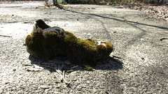 There was fantastic urb