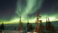 They have session going