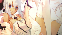 Thigh highs Fate Unlimited