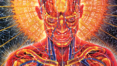 Third Eye tool anatomy