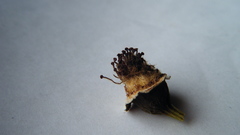 This one really hope