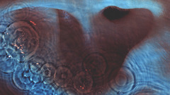 This was camel forever