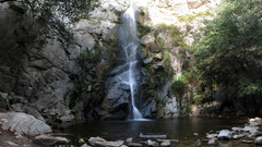 Thought You falls just This Today took sturtevant