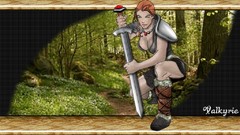 Tibia video games RPG