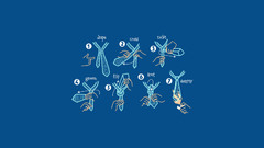 Tie anarchy Anarchy Online